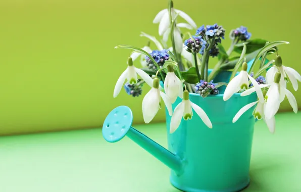 Picture flowers, spring, snowdrops, lake, forget-me-nots