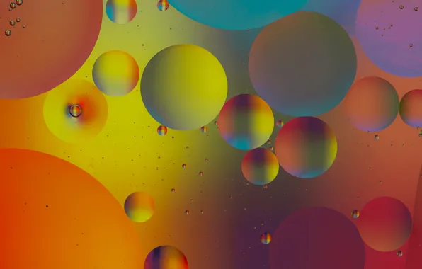 Picture water, bubbles, color, oil, liquid, ball, the air, the volume