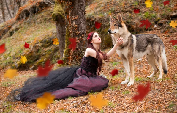 Picture girl, nature, wolf