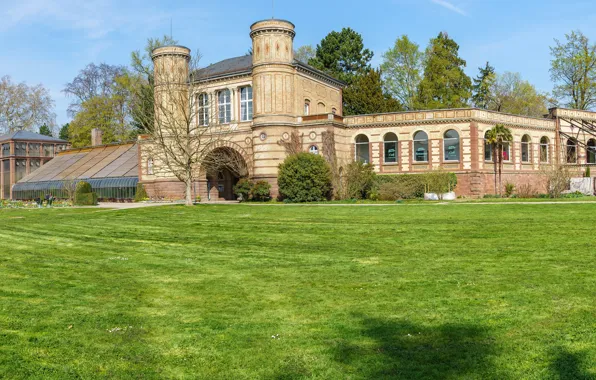 Picture greens, the sky, grass, the sun, trees, Park, lawn, building