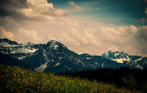 Field, clouds, trees, flowers, mountains