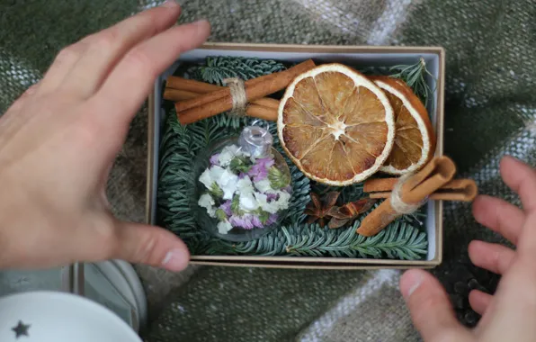Holiday, box, gift, orange, ball, hands, slice, Christmas