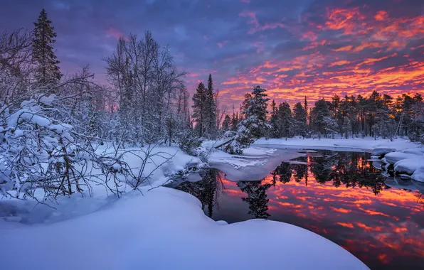 Picture winter, forest, snow, trees, reflection, river, dawn, morning