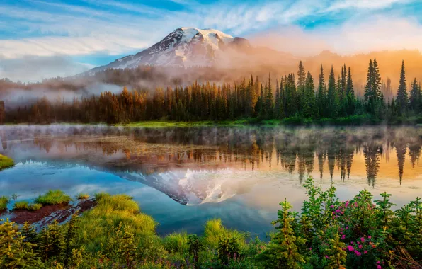 Forest, summer, reflection, fog, lake, mountain, morning, USA