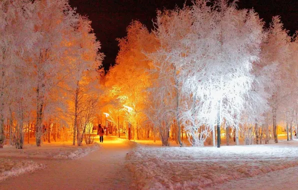 Picture winter, snow, night, lights