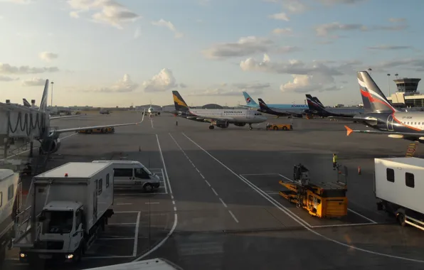 Aviation, airport, the plane, Aeroflot, don