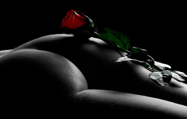 Ass, girl, roses