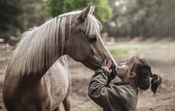 Picture mood, horse, girl