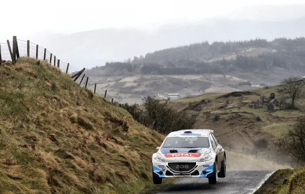 Jump, Peugeot, Rally, 208, T16, ERC