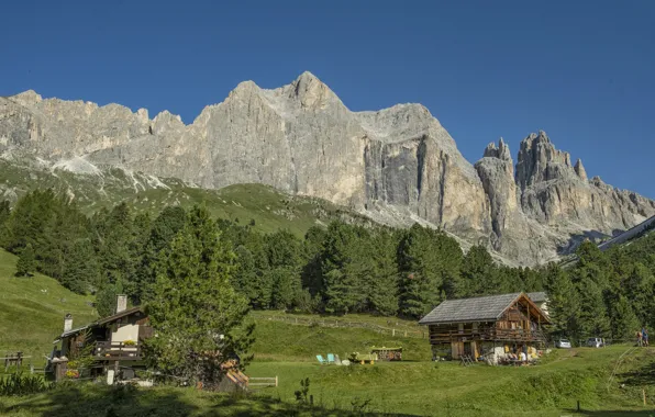 Picture mountains, Germany, Alps, The rose garden