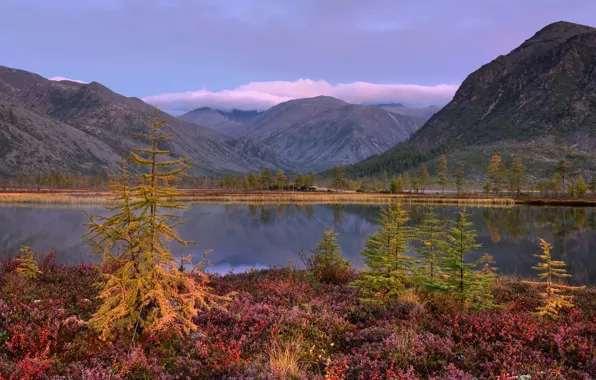 Autumn, the sky, mountains, lake, hills, shore, haze, herringbone