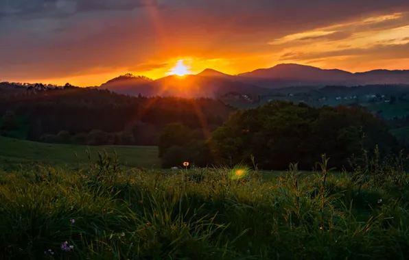 Picture field, forest, summer, grass, sunset, mountains, hills, meadow