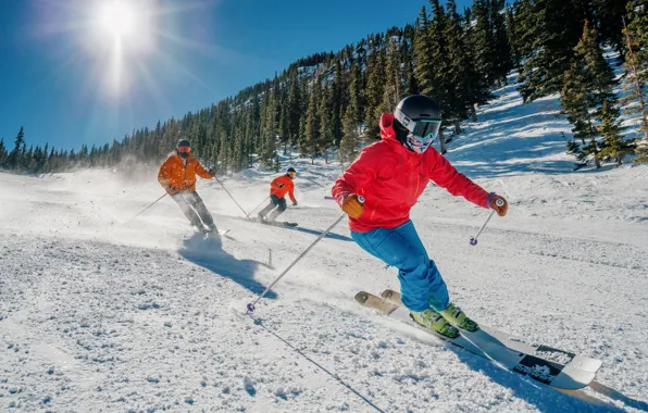 Picture snow, trees, mountains, ski, riding