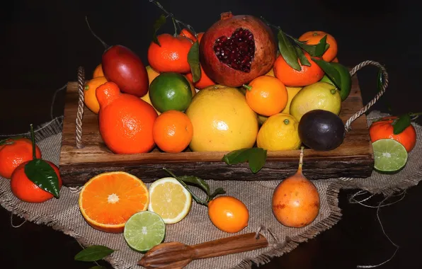 Picture lime, fruit, citrus, lemons, grapefruit, garnet, Mandarin, Aplysia