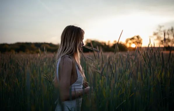 Picture field, girl, face, dawn, walk, Brittney