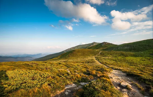 Picture mountains, nature, Ukraine, mountains, ukraine, Carpathians, carpathians