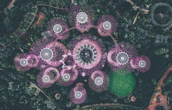 The city, Park, garden, Singapore, the view from the top