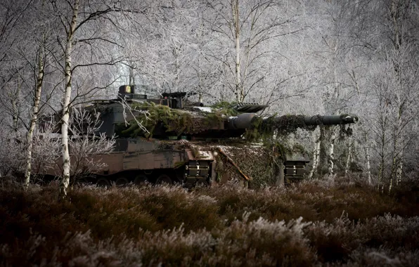 Forest, grass, trees, tank, disguise, combat, Leopard 2A6M