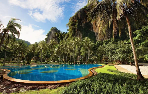 Palm trees, rocks, pool, Thailand, Thailand, resort, Krabi