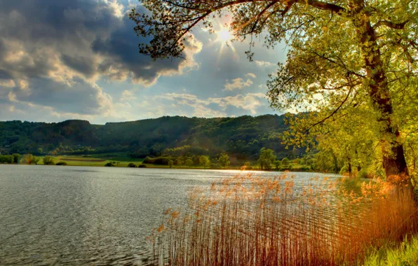 Picture landscape, nature, river, Germany, Sea box