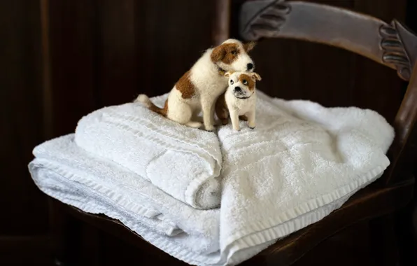 Dogs, toys, towel, chair, black background, a couple, two dogs