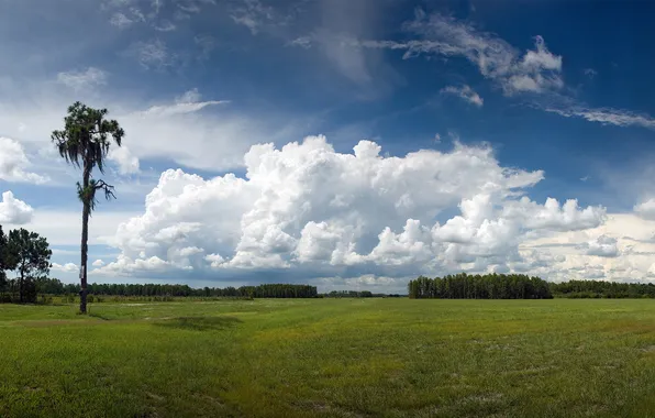 The sky, trees, blue, Nature, national, geographic, green meadow