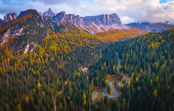Picture road, autumn, forest, trees, mountains, rocks, Italy, Dolomites