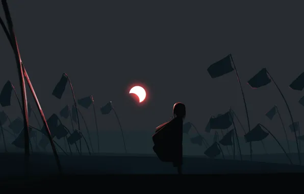 Night, fog, the moon, girl, flags
