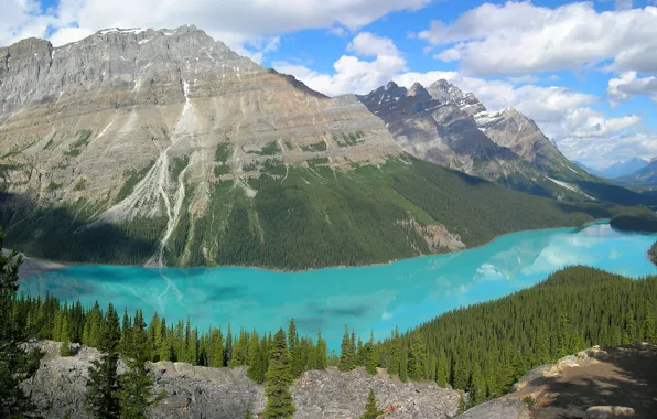 Forest, mountains, lake