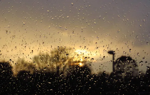 Glass, water, drops, surface, rain