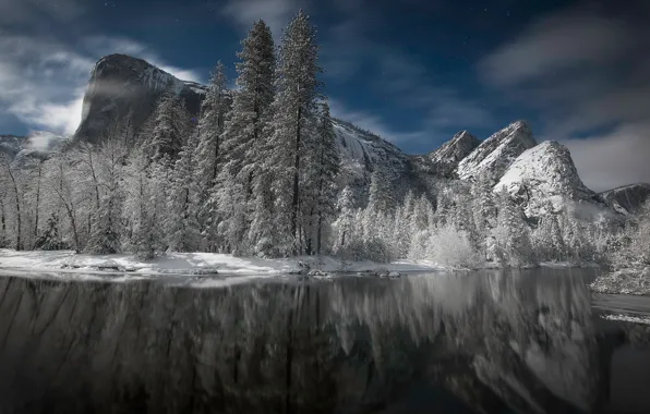 Picture winter, forest, snow, trees, mountains, reflection, river, CA