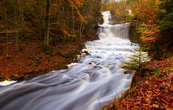 Picture autumn, forest, trees, foliage, mountain, waterfall, Sweden, Hun mountain