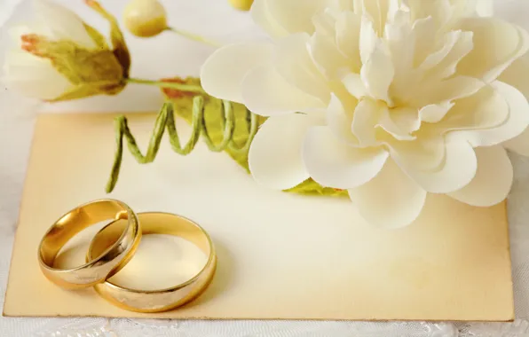 Picture flowers, ring, wedding, flowers, background, ring, soft, wedding