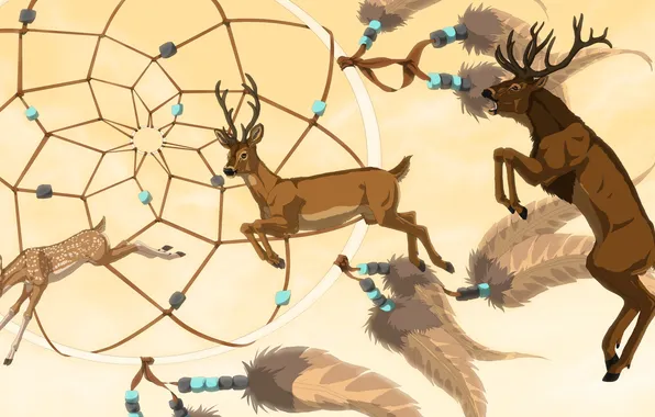 Picture animals, feathers, art, horns, deer, the trap of dreams