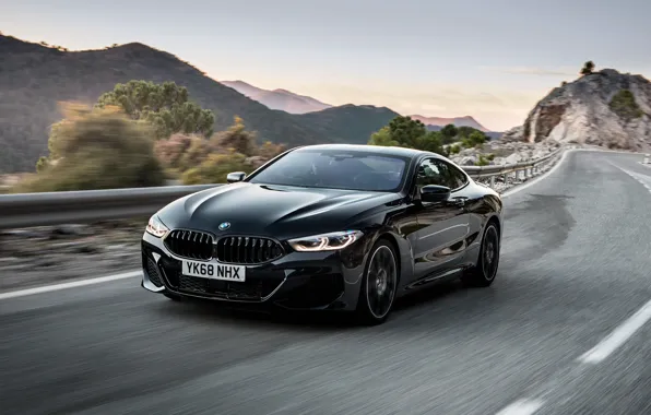 Speed, BMW, Coupe, 2018, 8-Series, M850i, XDrive