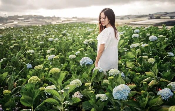 Picture girl, flowers, Asian