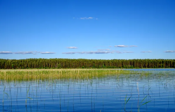 Picture water, landscape, nature, lake, Seliger