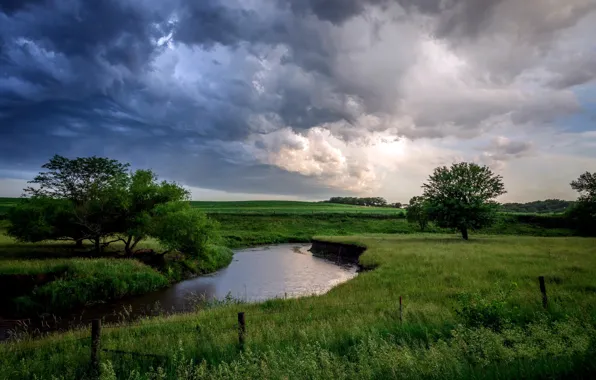 Field, summer, river