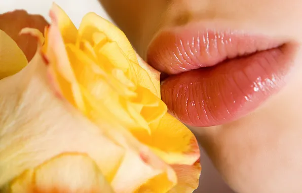 Rose, petals, lips