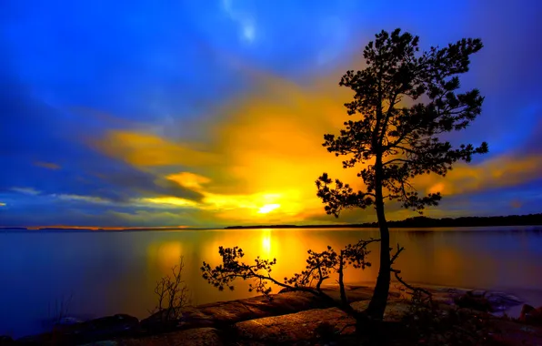 The sky, clouds, sunset, lake, tree