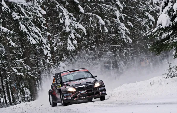 Picture Winter, Snow, Forest, Race, Lights, WRC, S2000, Rally