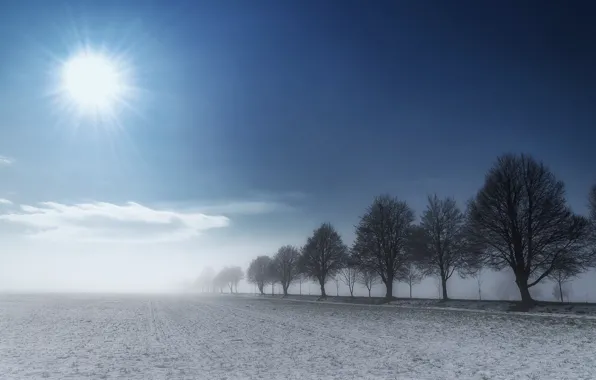 The sky, the sun, clouds, snow, trees, fog, earth, Zan Foar