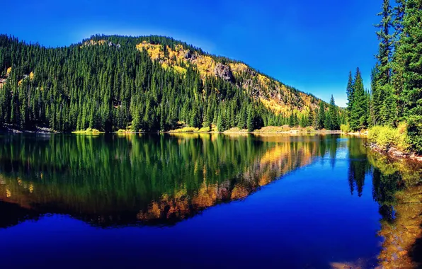 Picture forest, nature, mountain lake