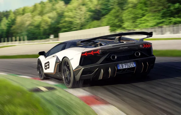 Speed, Lamborghini, supercar, rear view, racing track, 2018, Aventador, Aventador SVJ