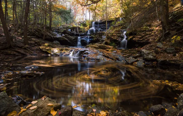 Autumn, forest, river