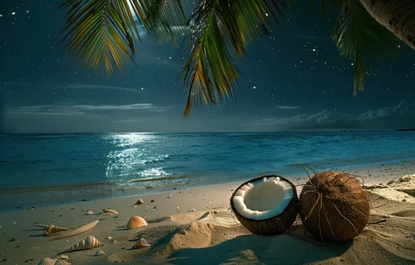 Sand, sea, beach, the sky, leaves, stars, light, night