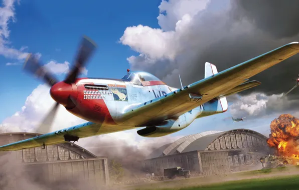 Fighter, USA, P-51D Mustang, US Airforce, Piotr Forkasiewicz