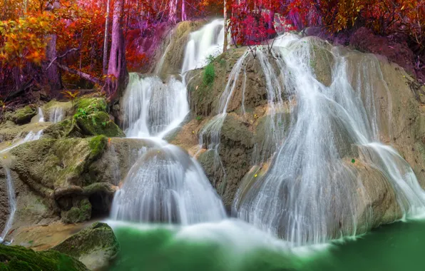 Picture autumn, forest, nature, waterfall, stream