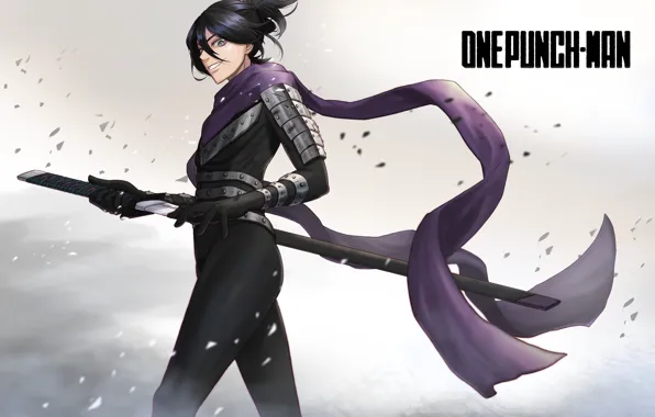 Sword, Sonic, guy, Sonic, Vanpatten, Onepunch-Man