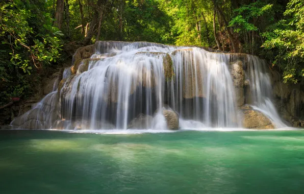 Picture greens, forest, water, trees, waterfall